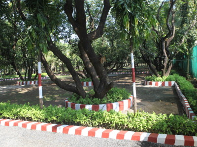 Entrance Area Garden